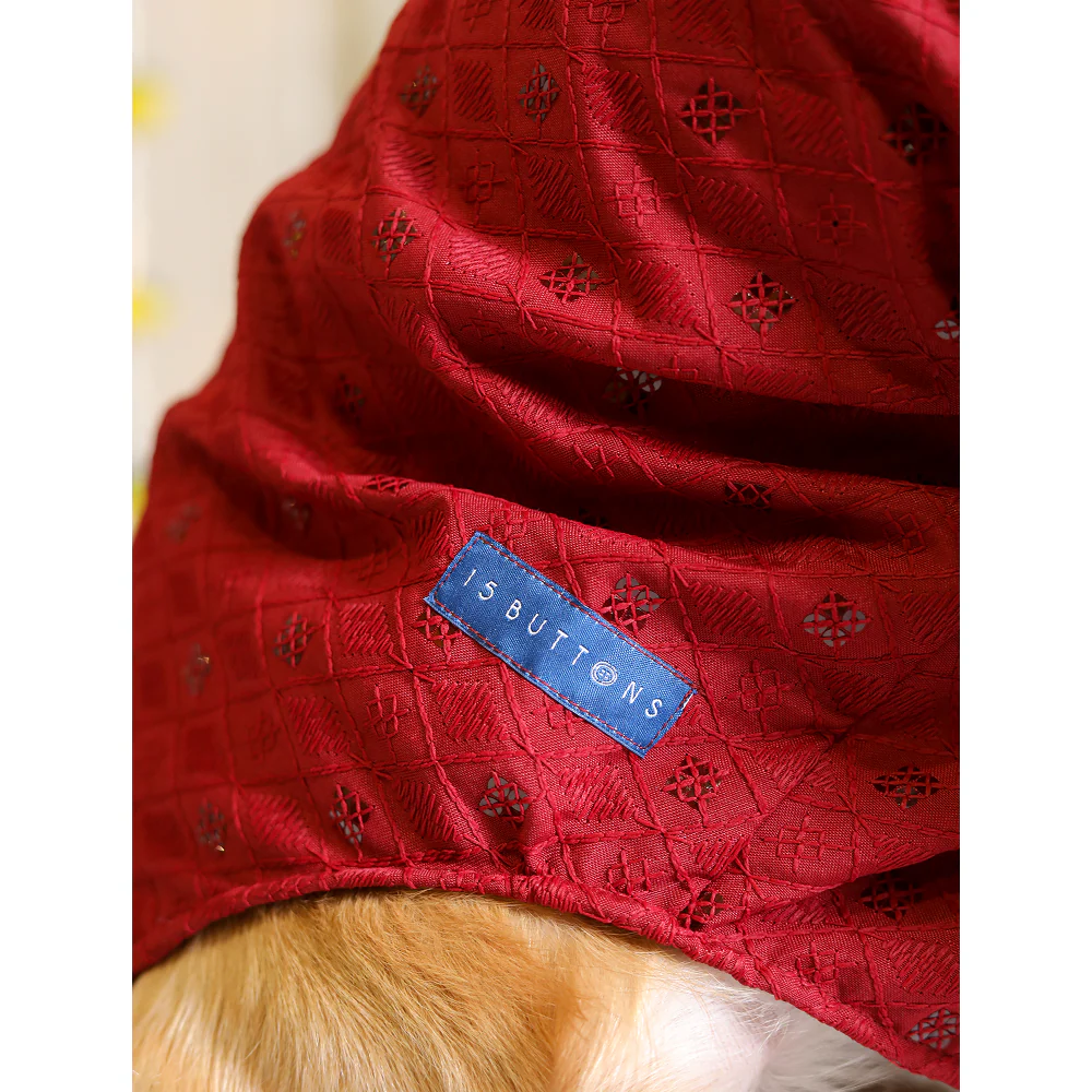 15 Furries Sherwani for Dogs (Red)