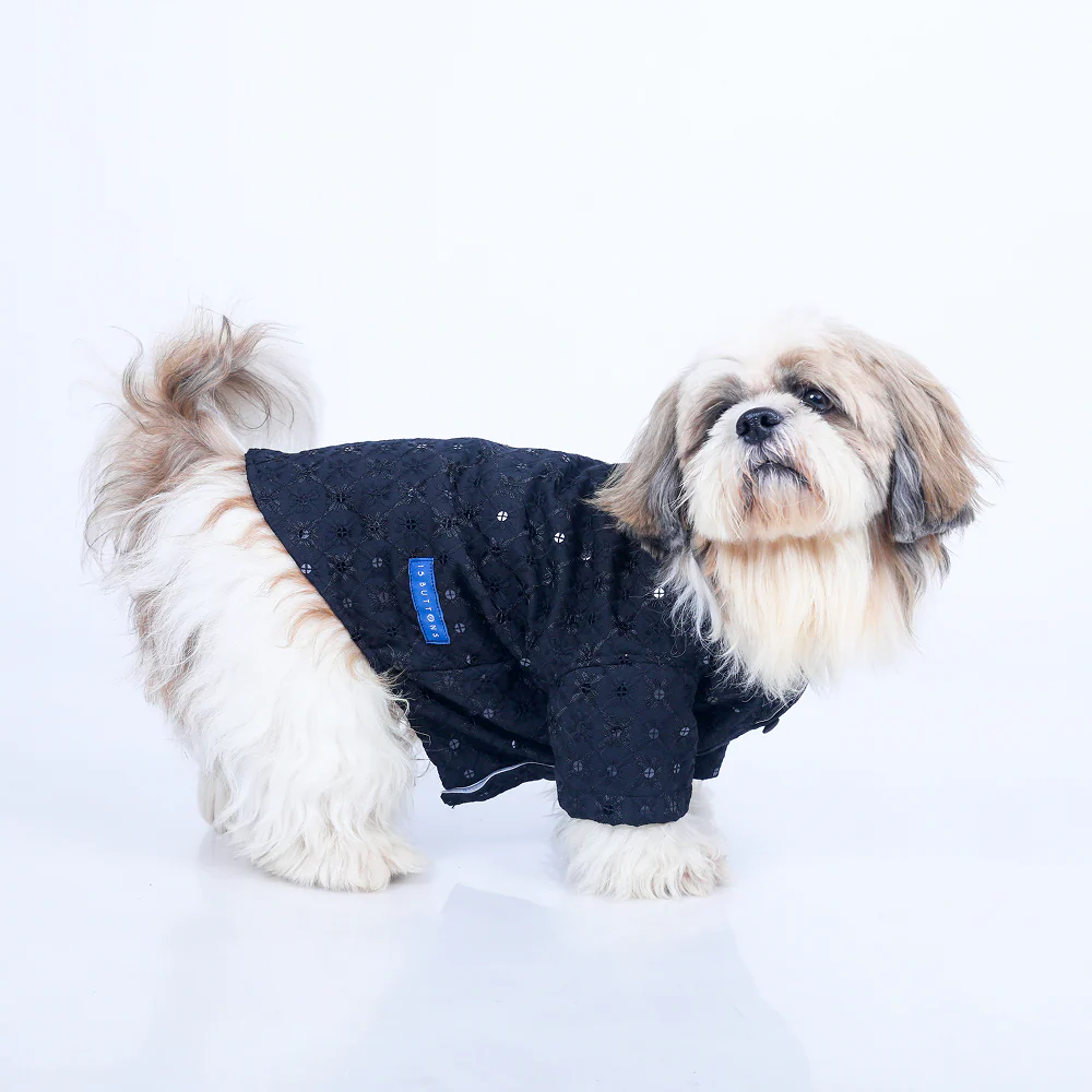 15 Furries Sherwani for Dogs (Black)