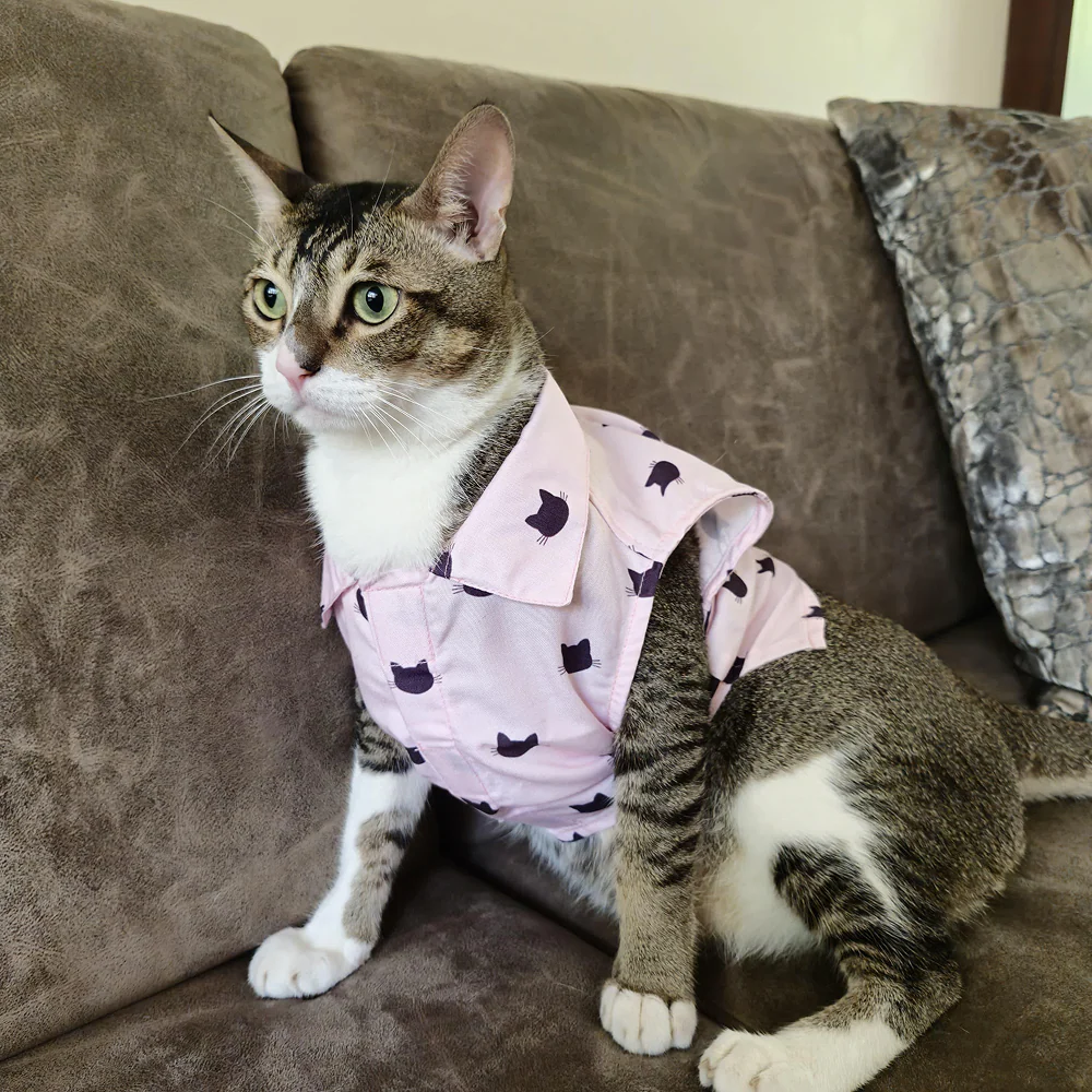 15 Furries Purfect pink Shirt for Cats (Pink)