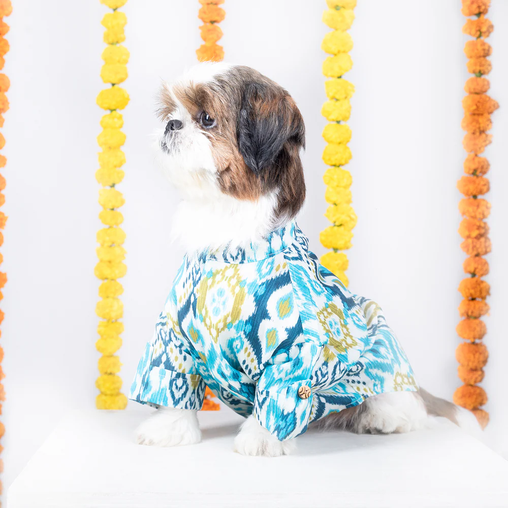 15 Furries Nawab Kurta for Dogs