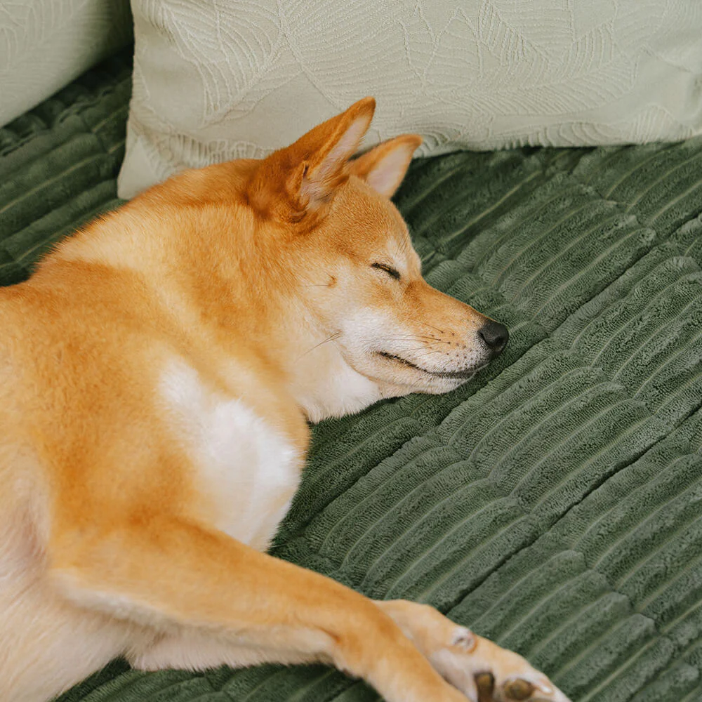 Lazy Soft Flannel Breathable Pet Mat Non-slip Couch Covers