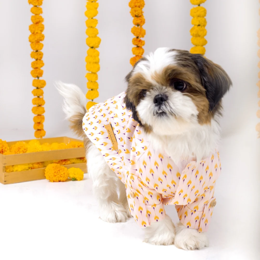 15 Furries Sanskriti Kurta for Dogs