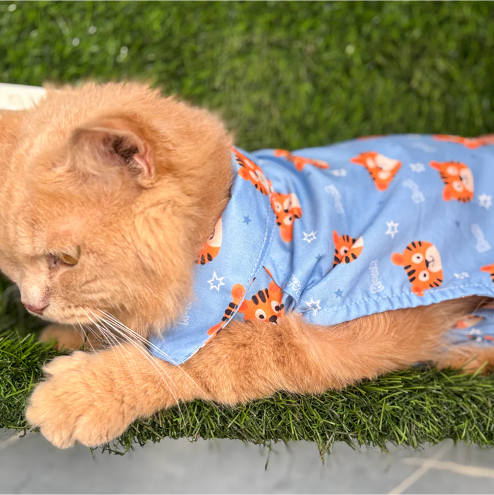 15 Furries Tiger Shirt for Cats (Orange and Blue)
