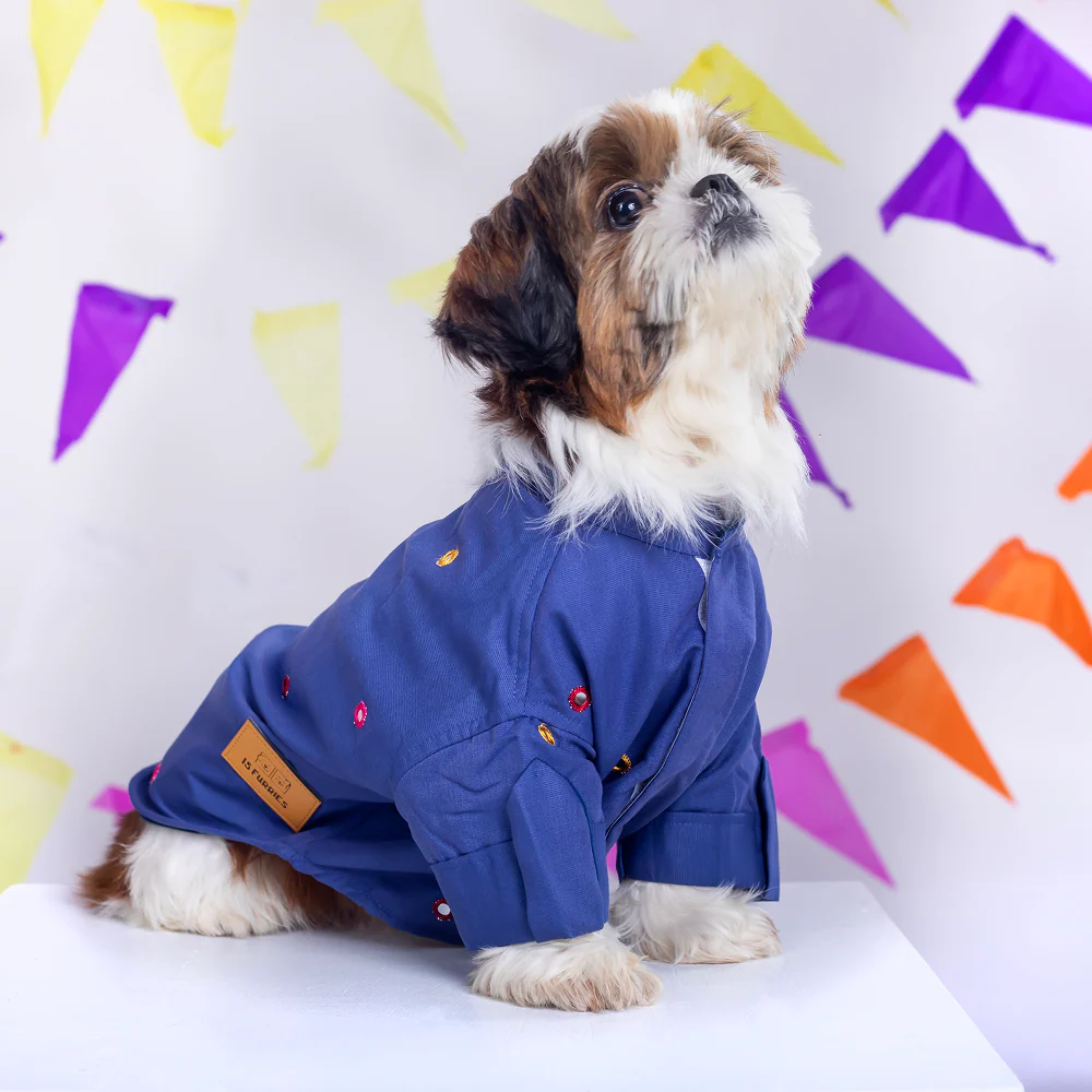 15 Furries Mirrorwork Kurta for Dogs (Persian Blue)