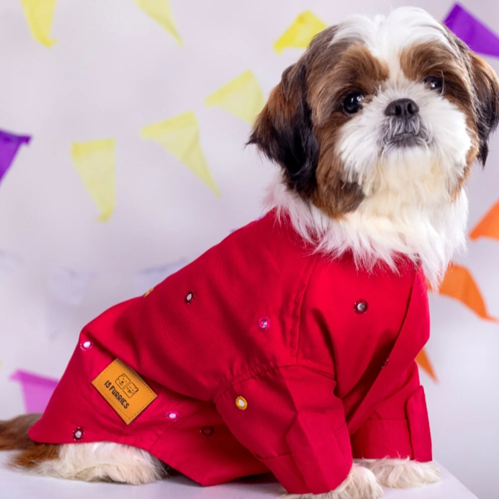 15 Furries Mirrorwork Kurta for Dogs (Electric Red)