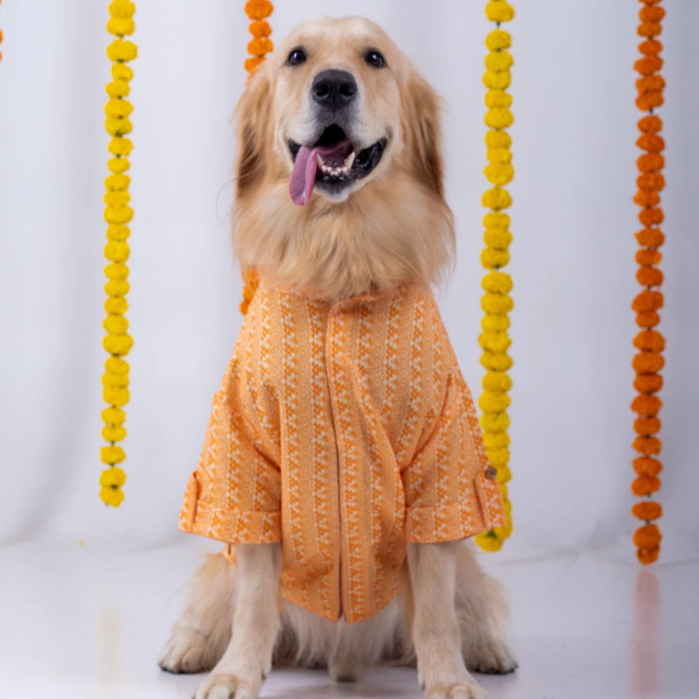 15 Furries Haldi Kurta for Dogs