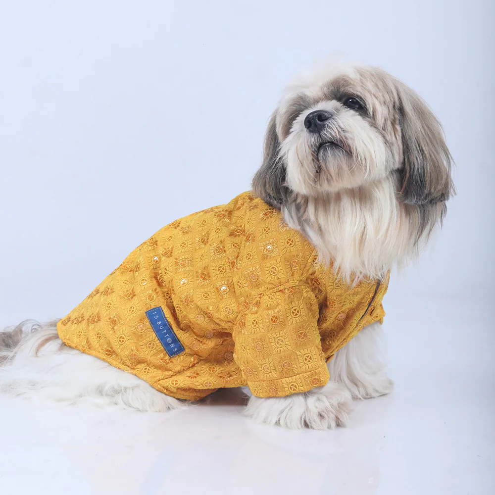 15 Furries Sherwani for Dogs (Yellow)