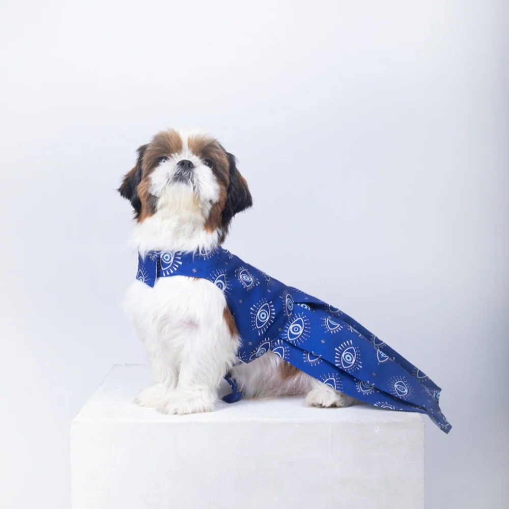 15 Furries Evil Eye Dress for Dogs