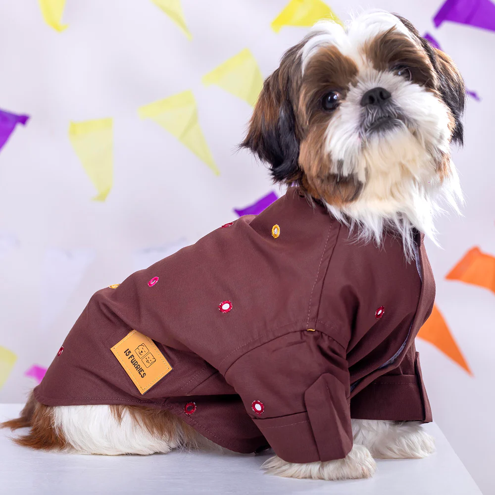 15 Furries Mirrorwork Kurta for Dogs (Chocolate Brown)