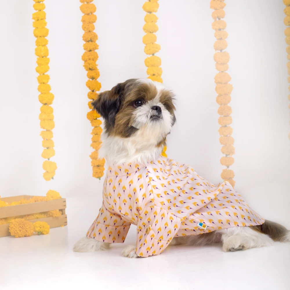 15 Furries Sanskriti Kurta for Dogs
