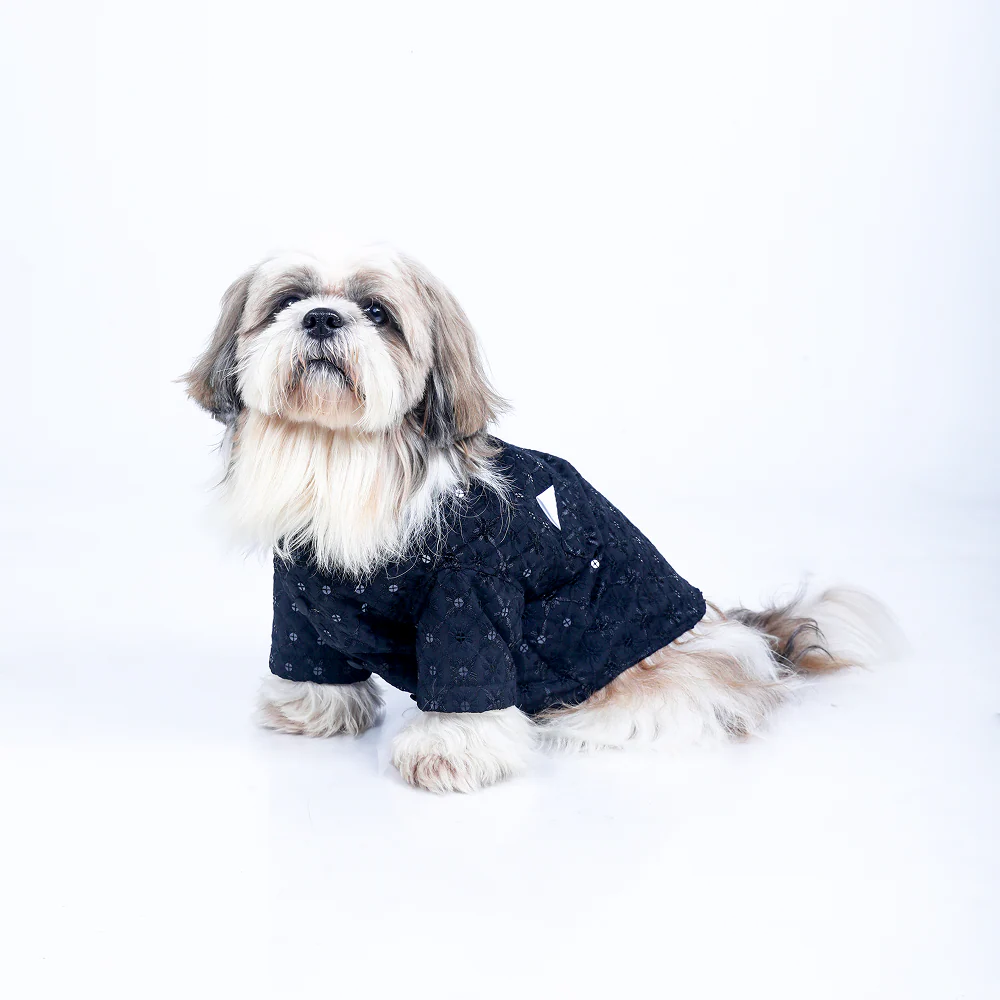 15 Furries Sherwani for Dogs (Black)