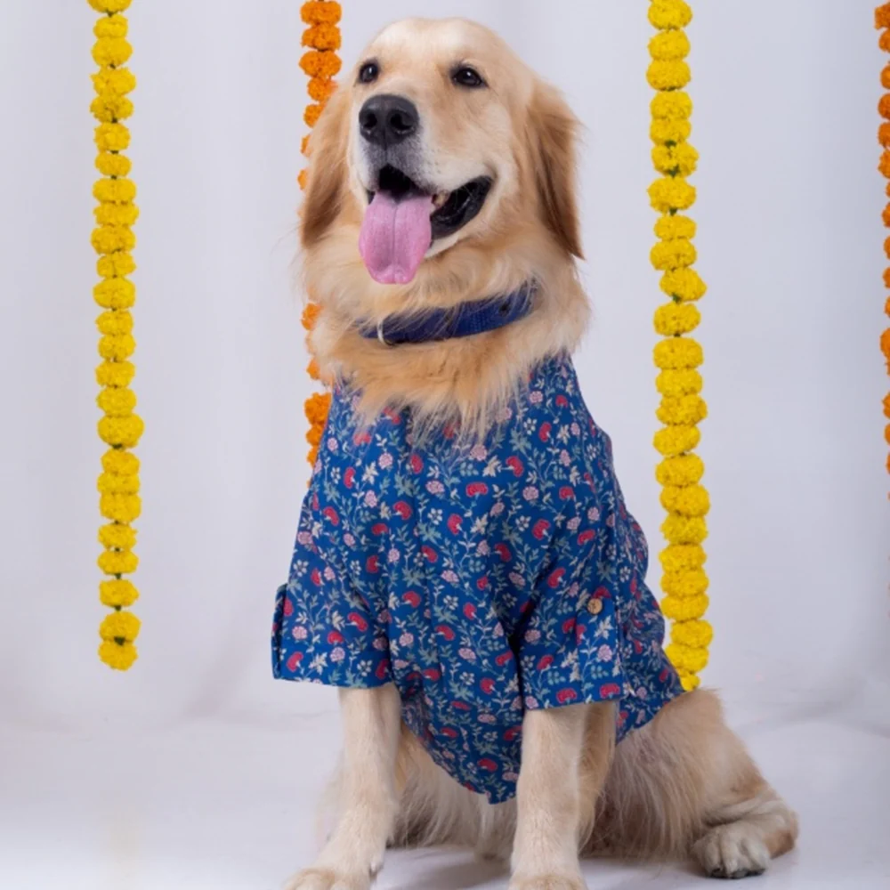 15 Furries Bageecha Kurta for Dogs