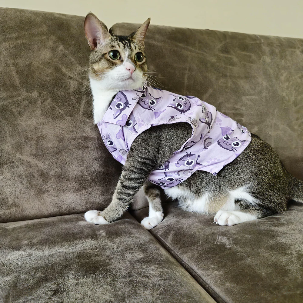 15 Furries Purple Meow Shirt for Cats (Purple)