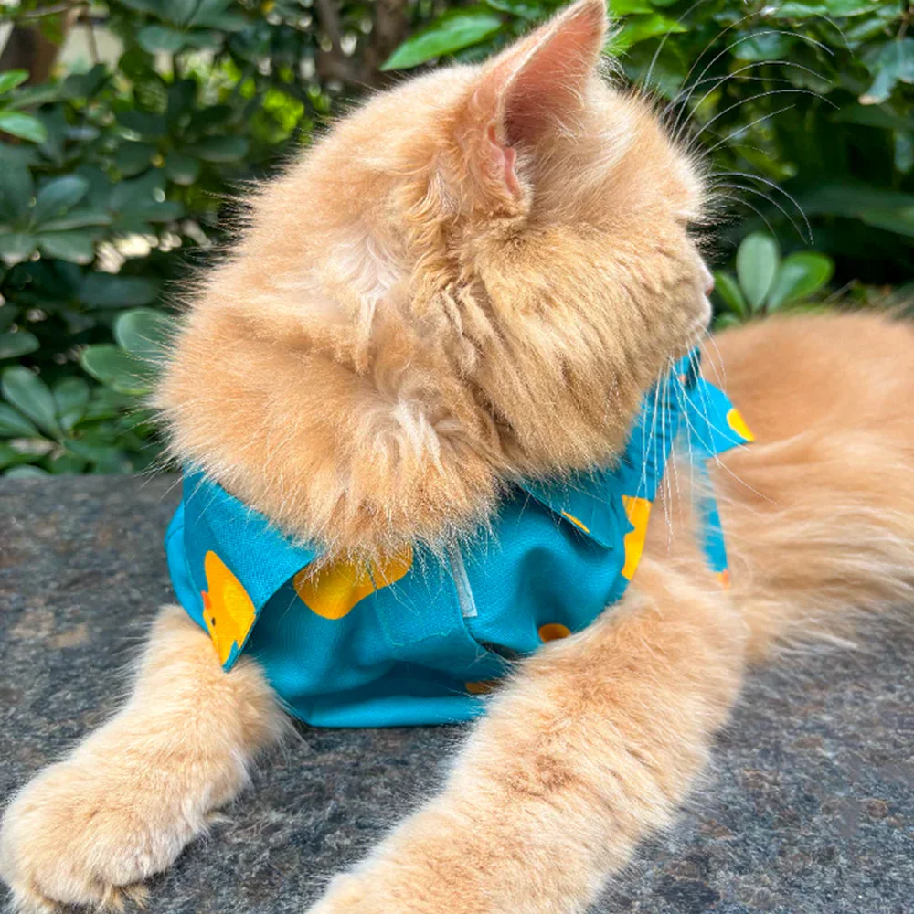 15 Furries Little Duckling Shirt for Cats (Green and yellow)