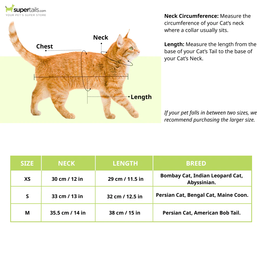 15 Furries Gingerbread Shirts for Cats