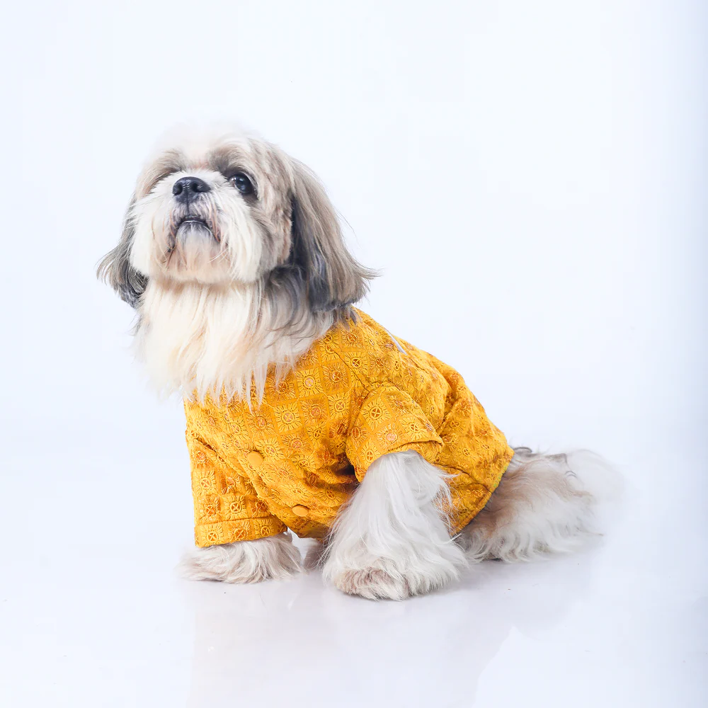 15 Furries Sherwani for Dogs (Yellow)