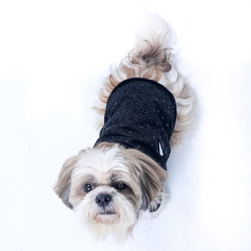 15 Furries Sherwani for Dogs (Black)