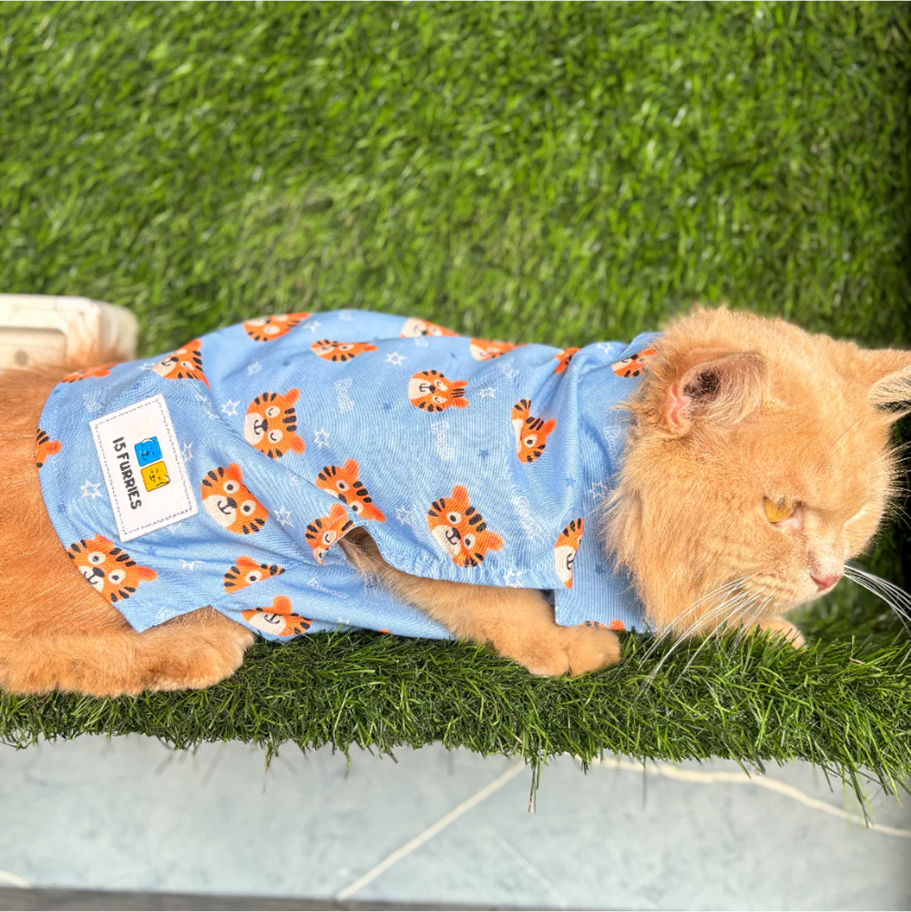 15 Furries Tiger Shirt for Cats (Orange and Blue)