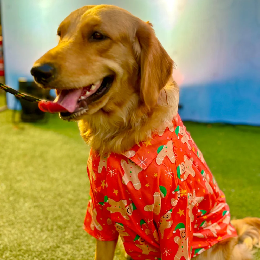 15 Furries Gingerbread Man for Dogs