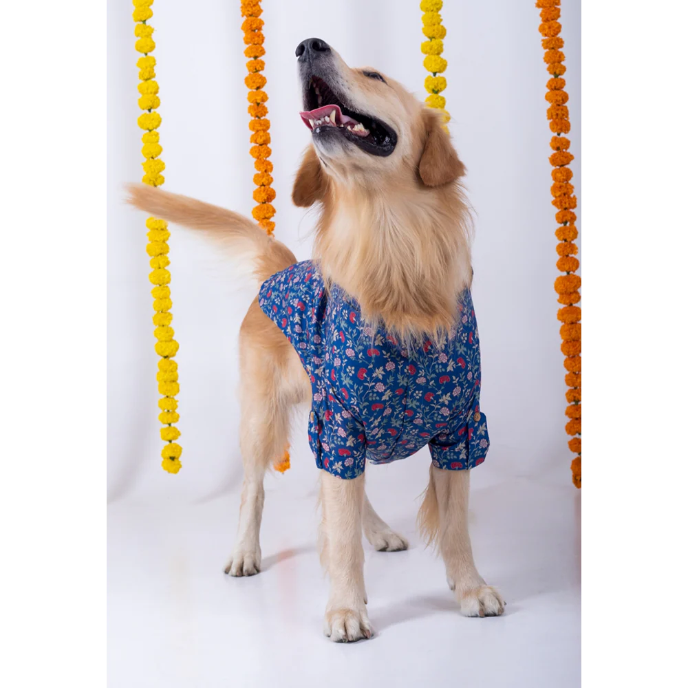 15 Furries Bageecha Kurta for Dogs
