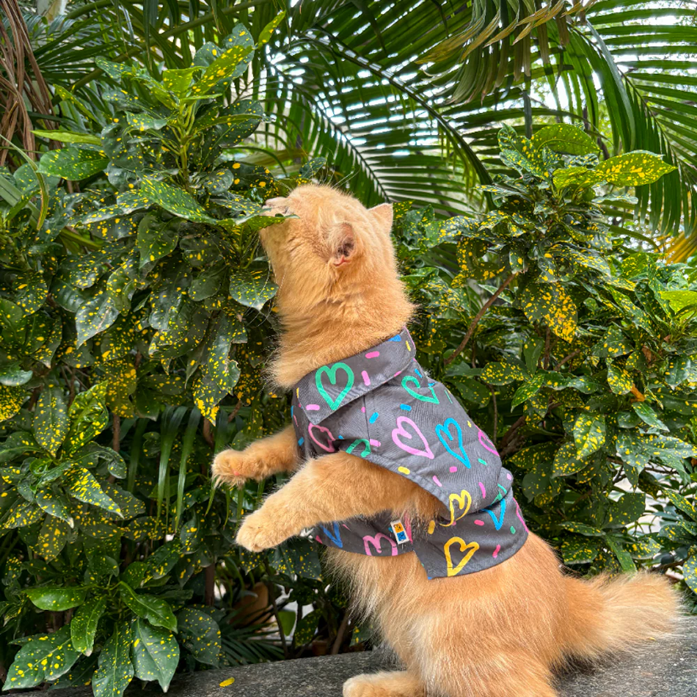 15 Furries Heart Buzz Shirt for Cats (Black)