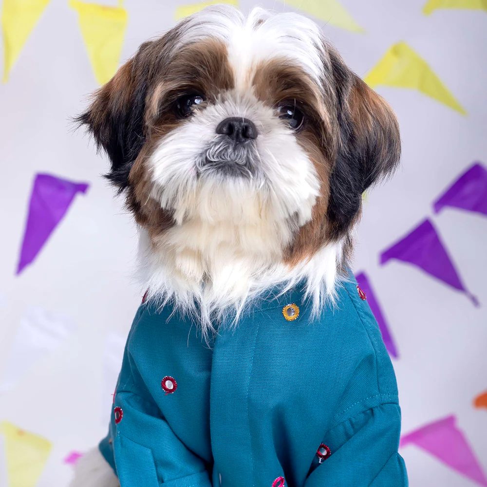 15 Furries Mirrorwork Kurta for Dogs (Teal Blue)