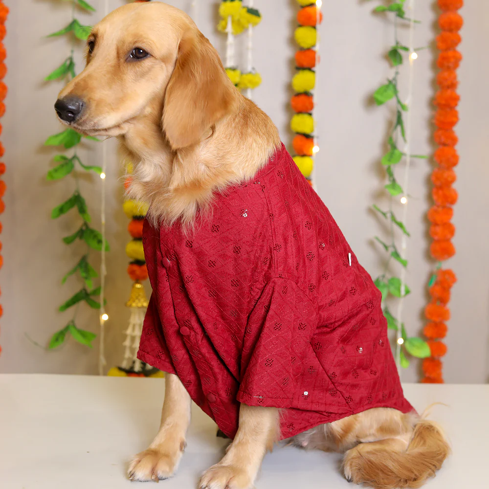 15 Furries Sherwani for Dogs (Red)