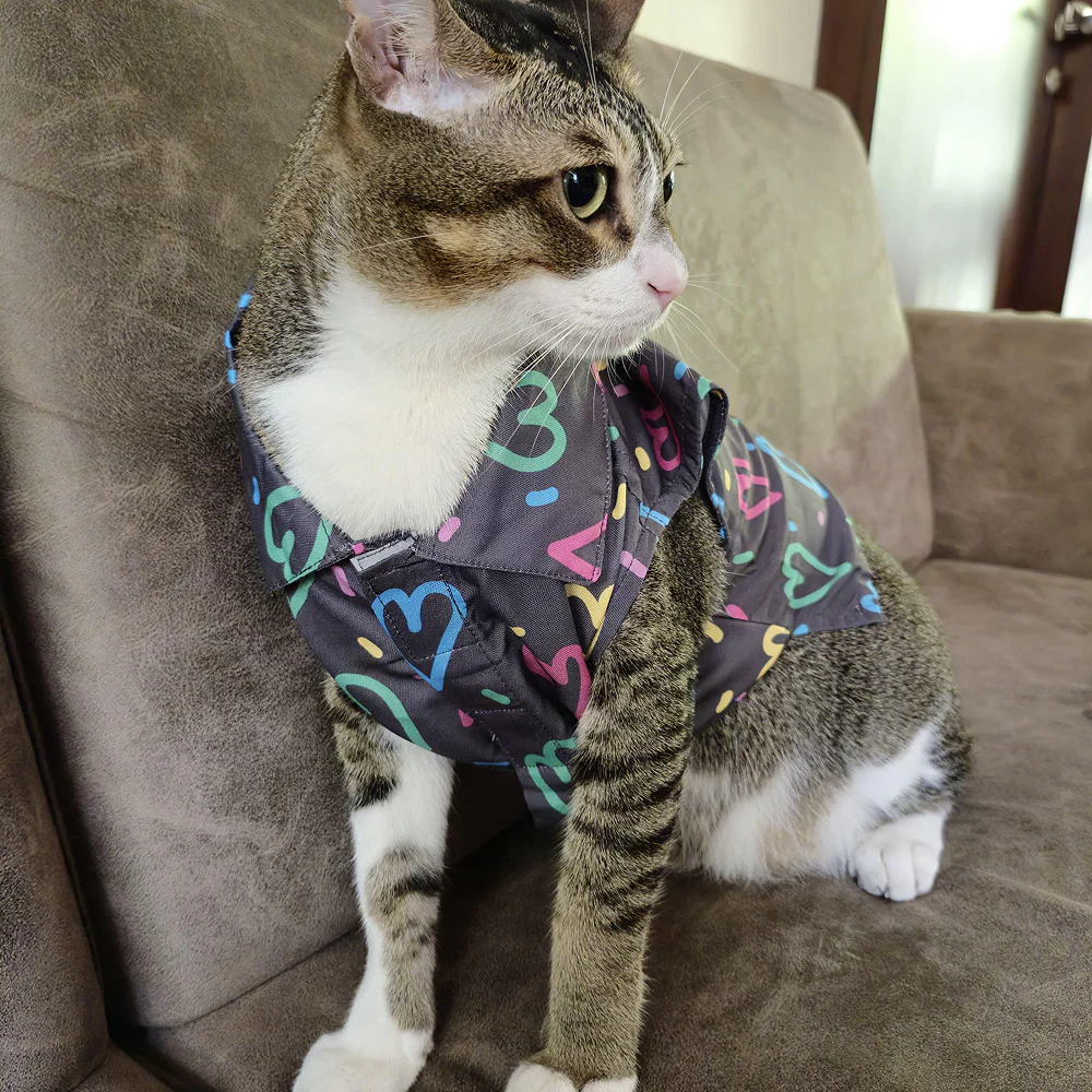 15 Furries Heart Buzz Shirt for Cats (Black)