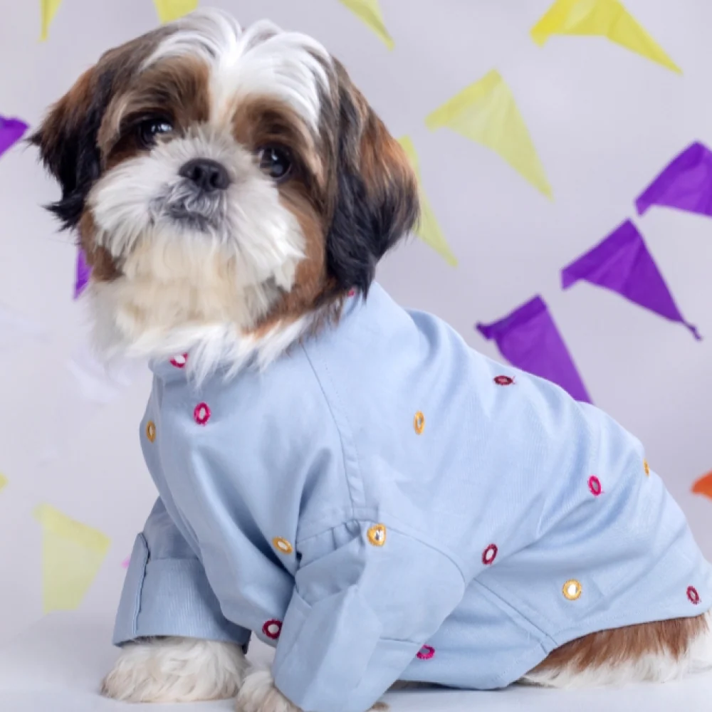 15 Furries Mirrorwork Kurta for Dogs (Blue)