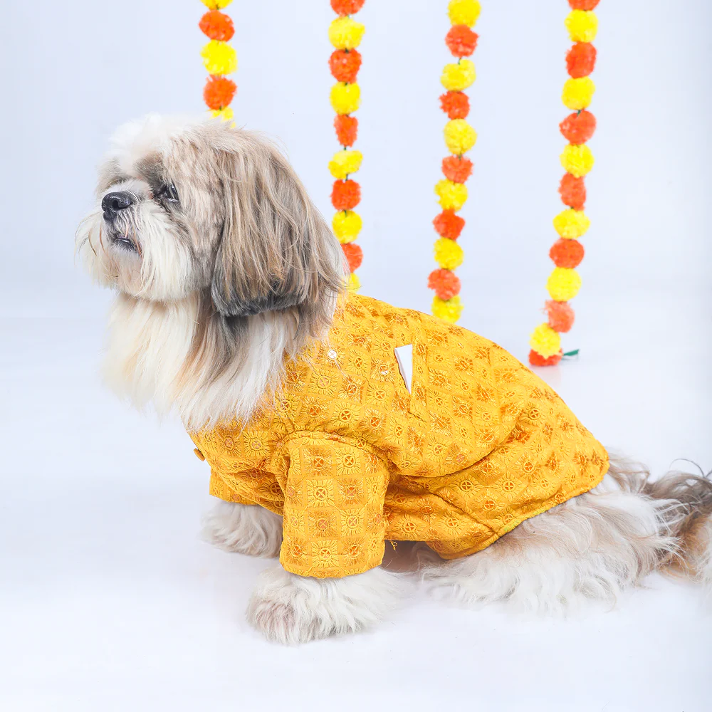 15 Furries Sherwani for Dogs (Yellow)