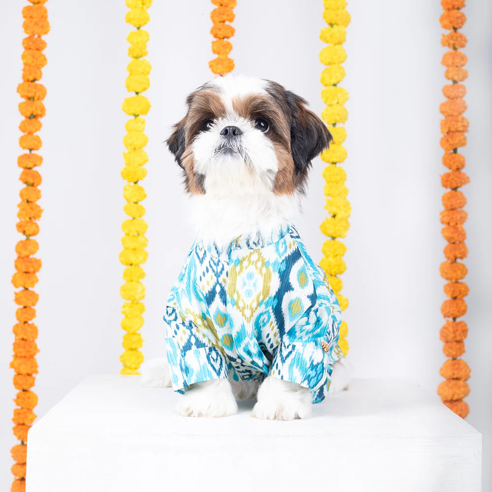 15 Furries Nawab Kurta for Dogs