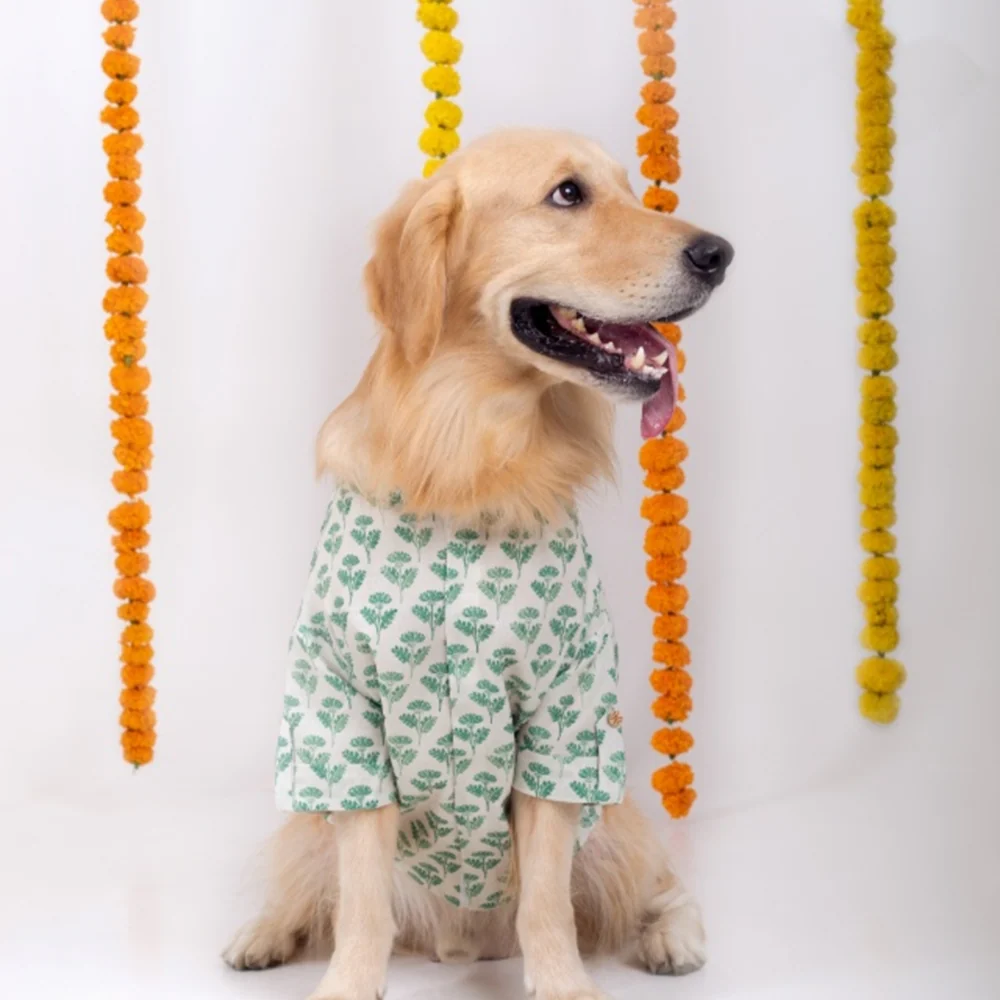 15 Furries Hariyali Kurta for Dogs