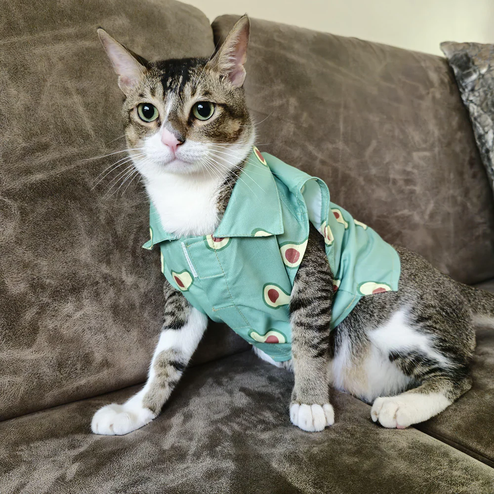15 Furries Avocado Shirt for Cats (Green)