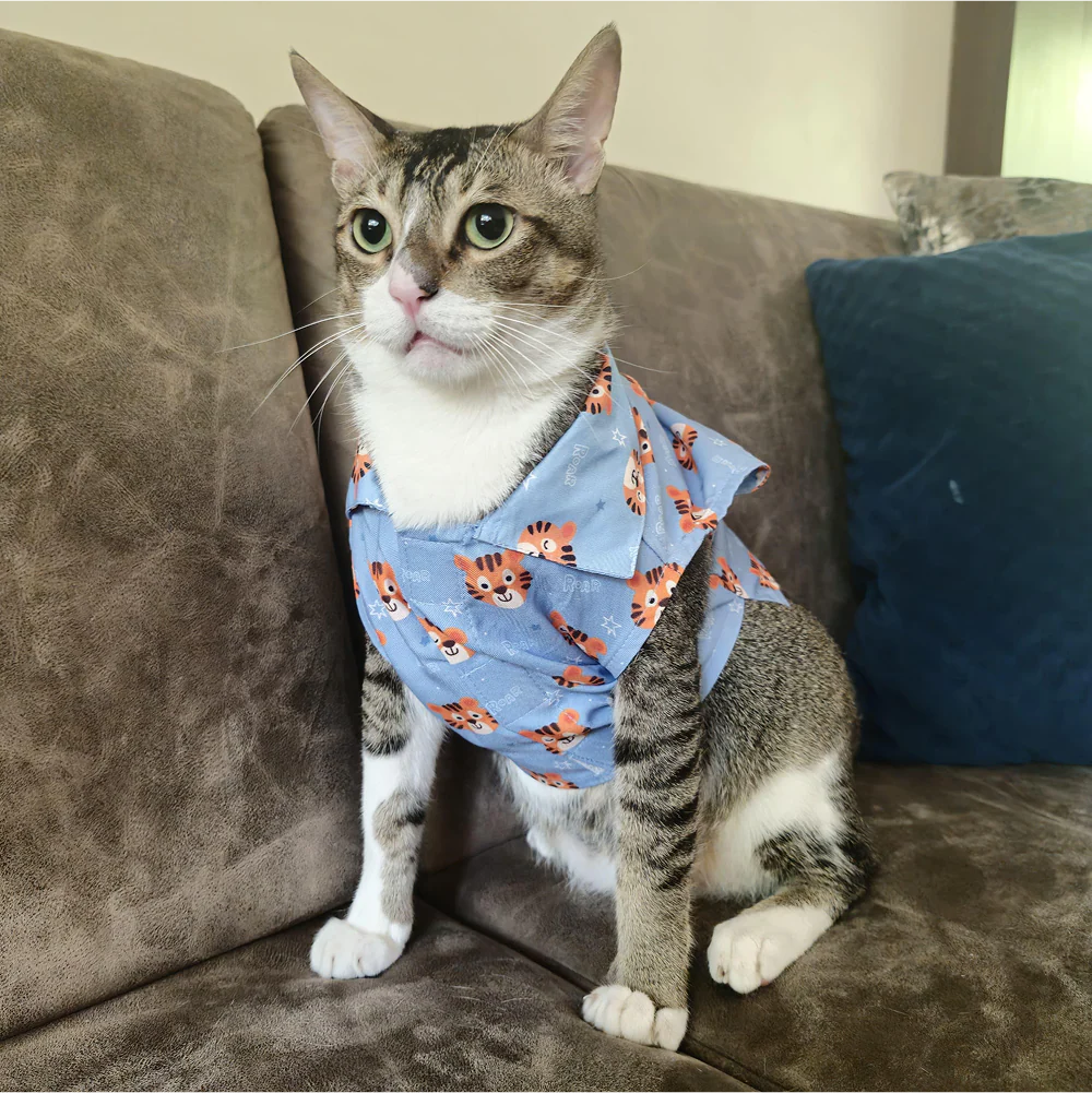 15 Furries Tiger Shirt for Cats (Orange and Blue)
