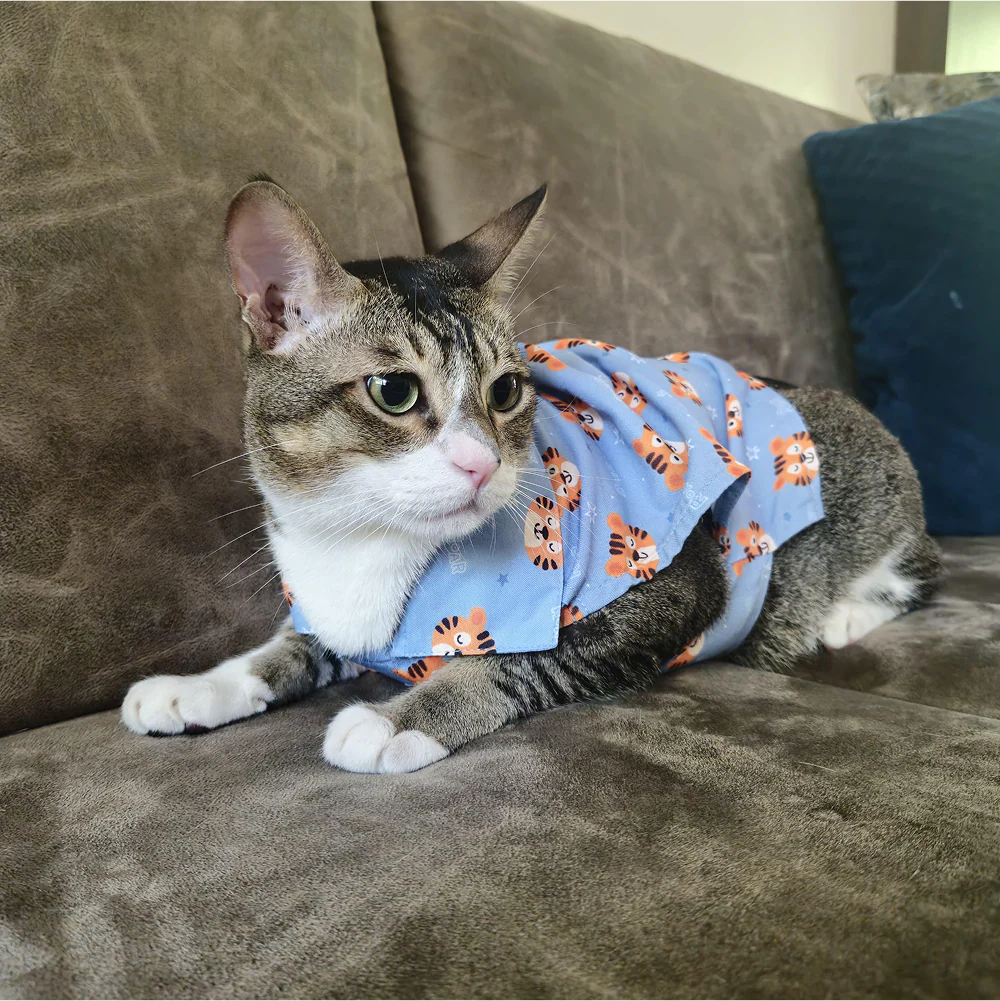 15 Furries Tiger Shirt for Cats (Orange and Blue)