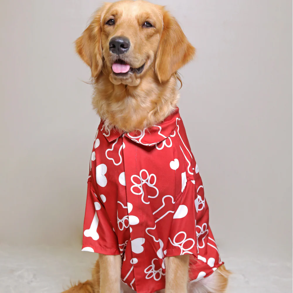 15 Furries Paws-itive for Dogs