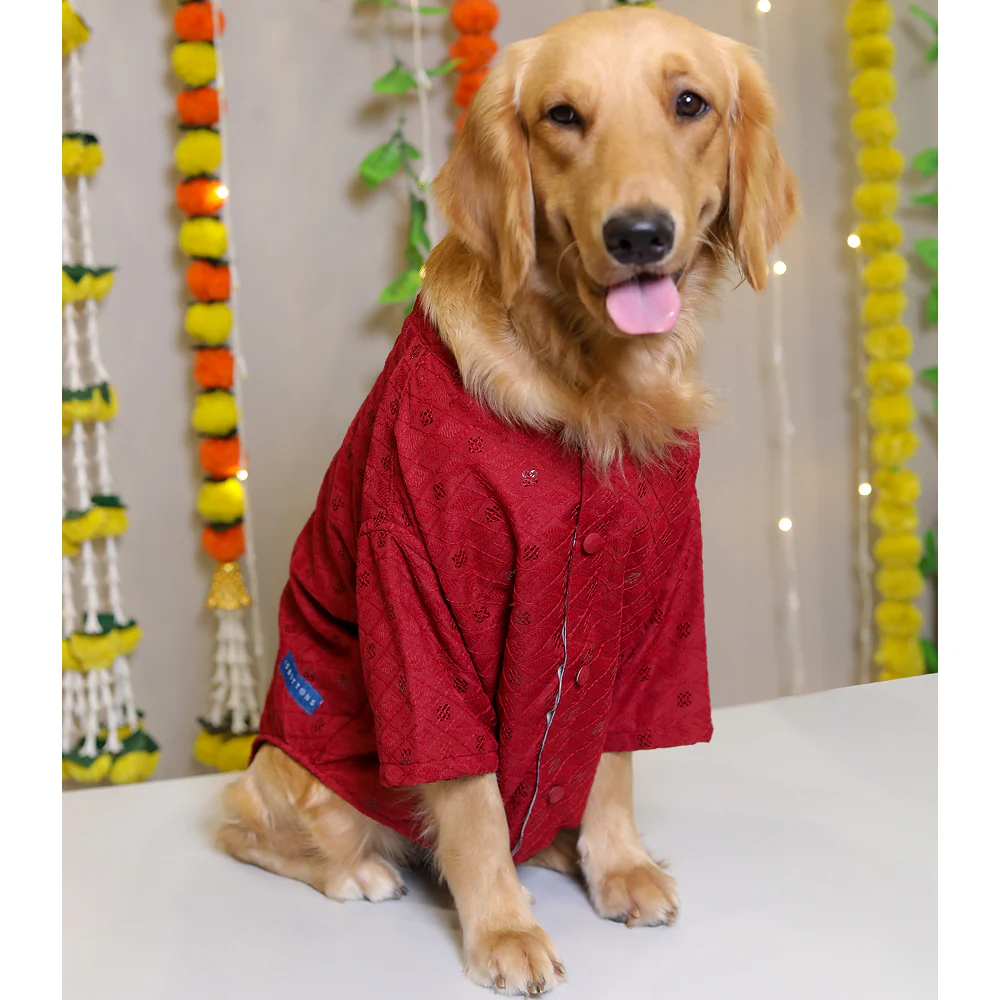 15 Furries Sherwani for Dogs (Red)