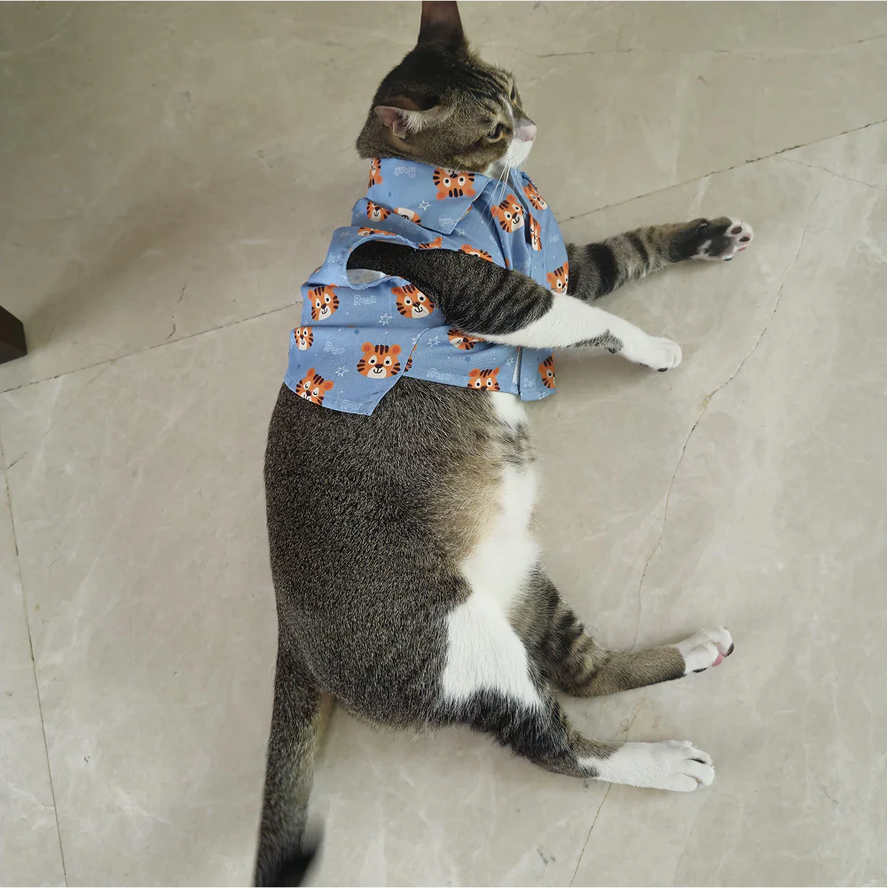 15 Furries Tiger Shirt for Cats (Orange and Blue)