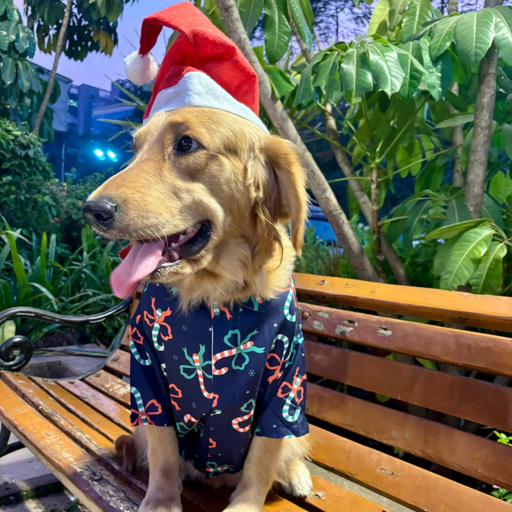 15 Furries Christmas Tree Decor Shirt for Dogs