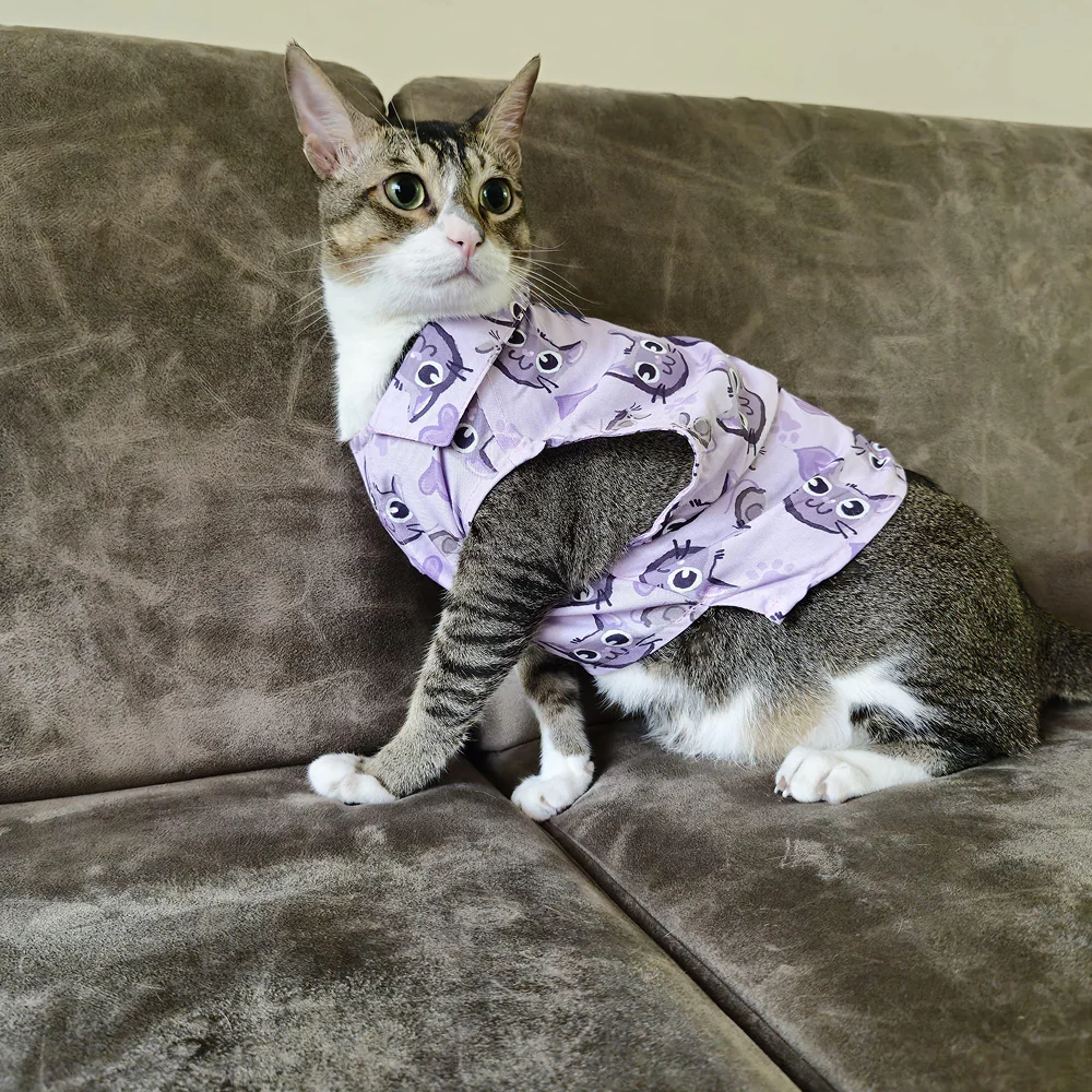 15 Furries Purple Meow Shirt for Cats (Purple)