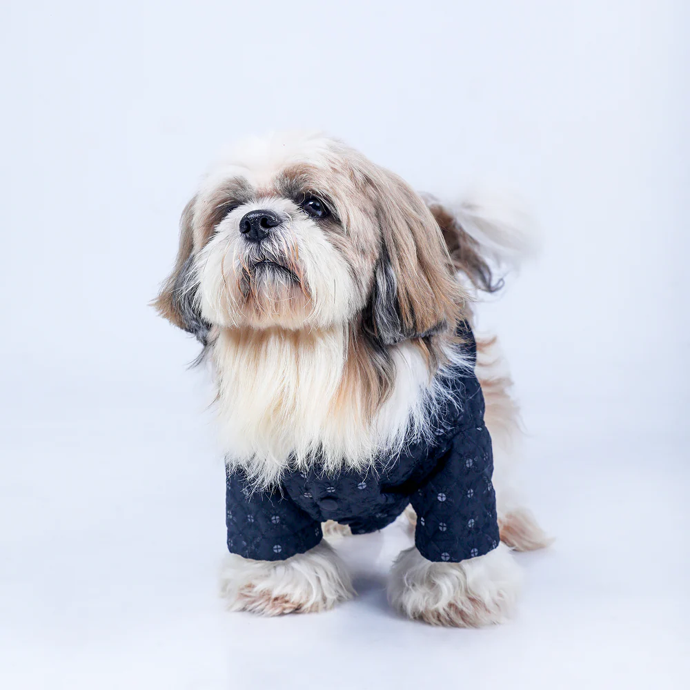 15 Furries Sherwani for Dogs (Black)