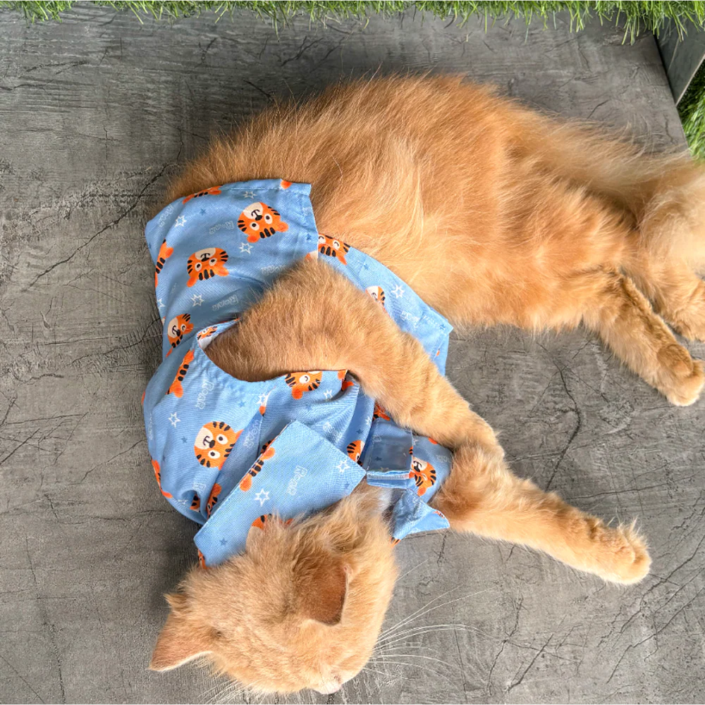 15 Furries Tiger Shirt for Cats (Orange and Blue)