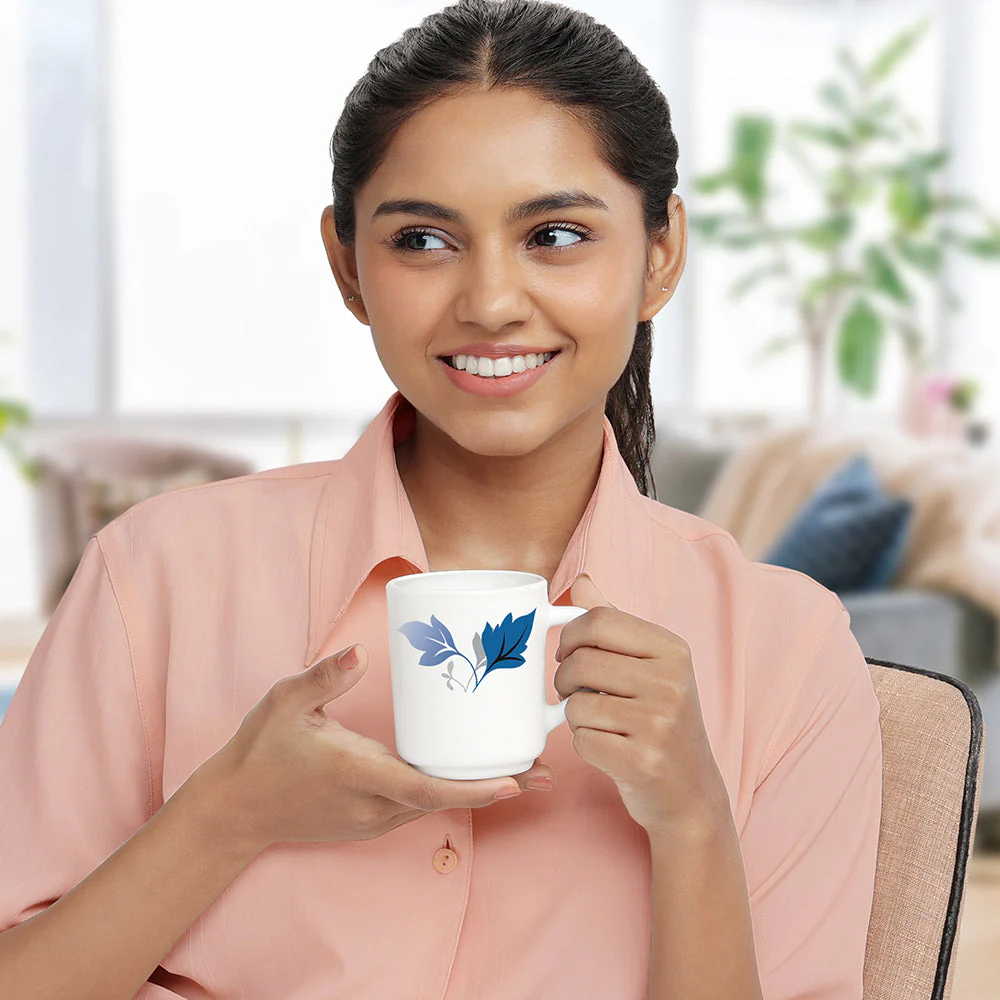 Larah by Borosil Ageria Mug Set, 240ml x 2