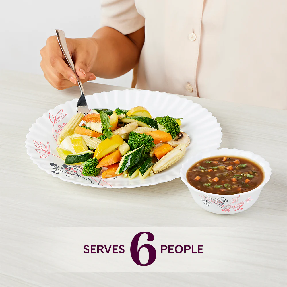 Larah by Borosil Aspen 19 pc Dinner Set