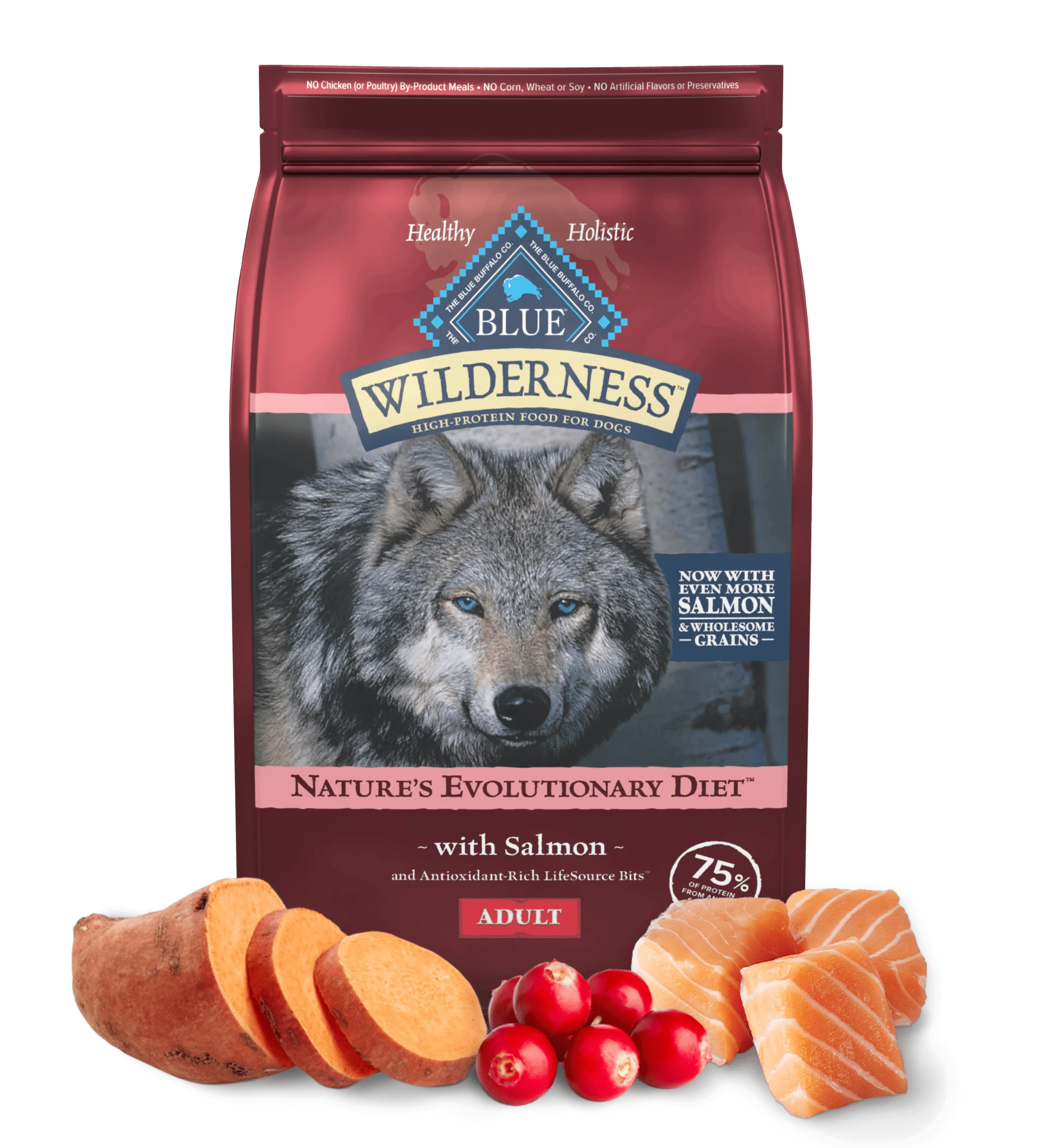 Blue Buffalo Wilderness Adult Salmon with Wholesome Grains Recipe Dry Dog Food