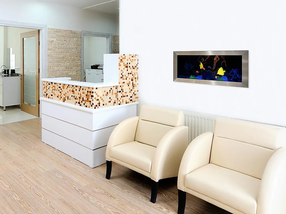 Dimplex Opti-V Plug-In Electric Aquarium Insert