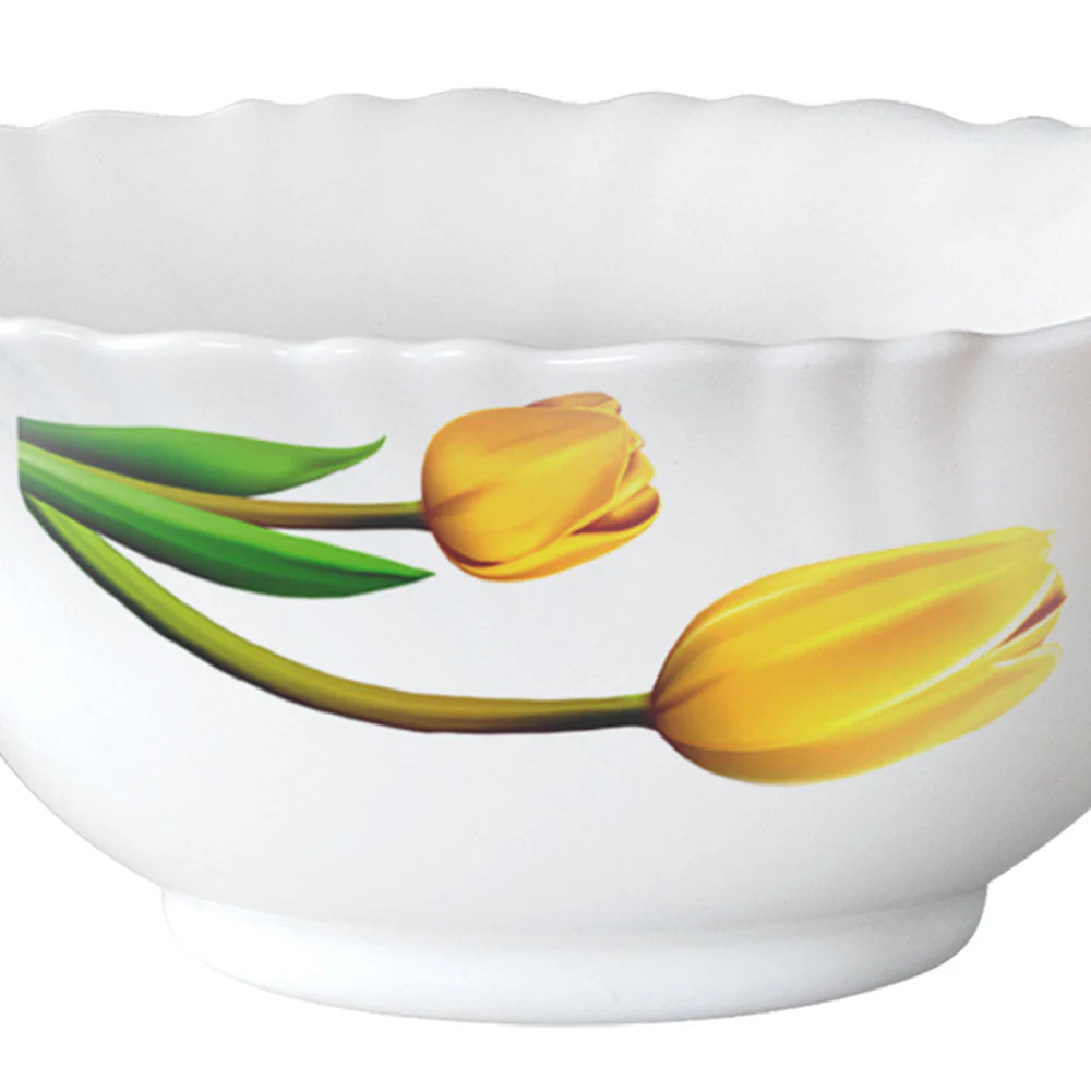 Larah by Borosil Lyana Dinner Set, 6 pc