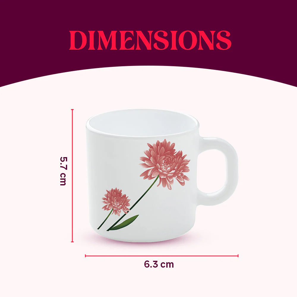 Larah by Borosil Nargis Mug Set, 240ml x 2