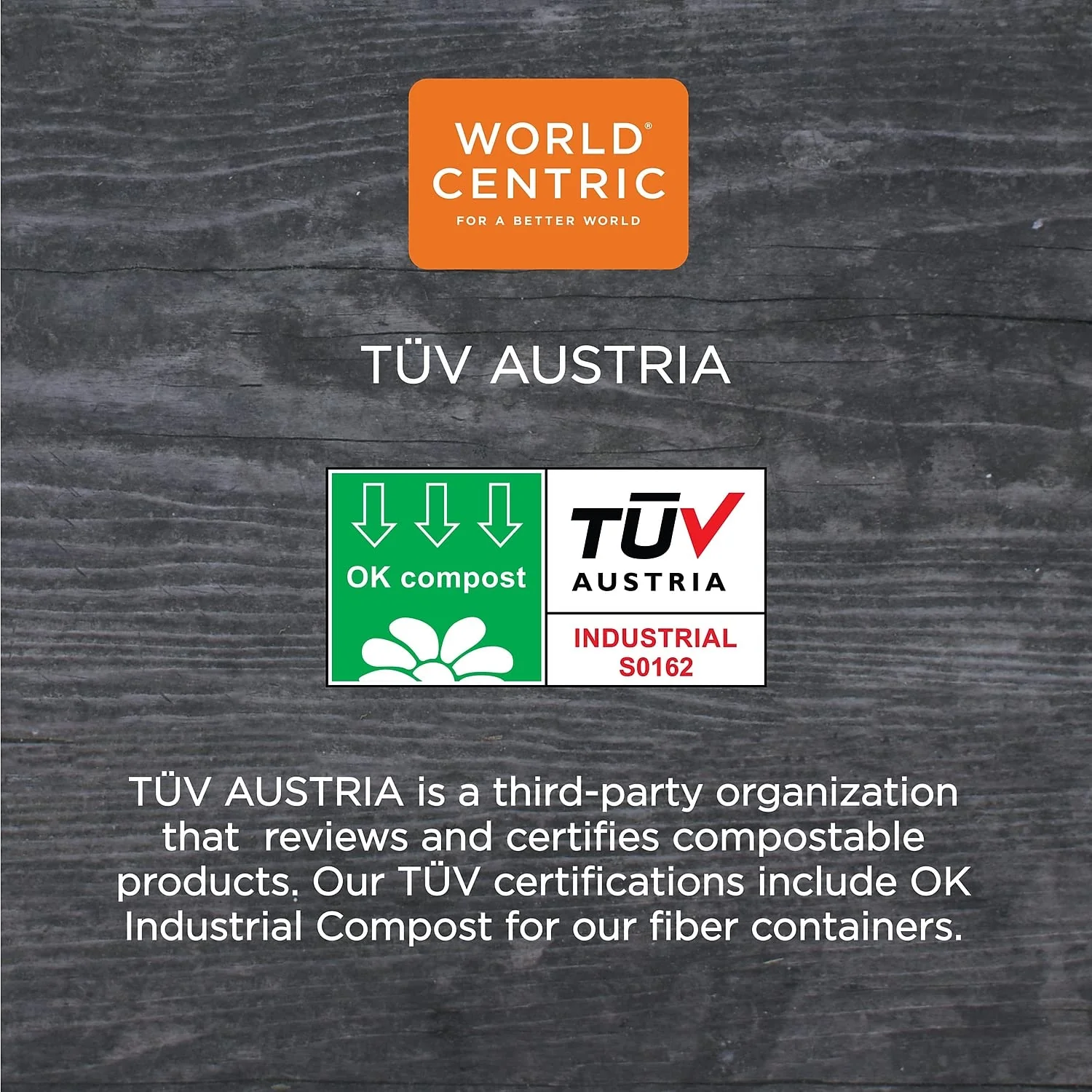 100% Compostable Plates, Made from Unbleached Plant Fiber, 10