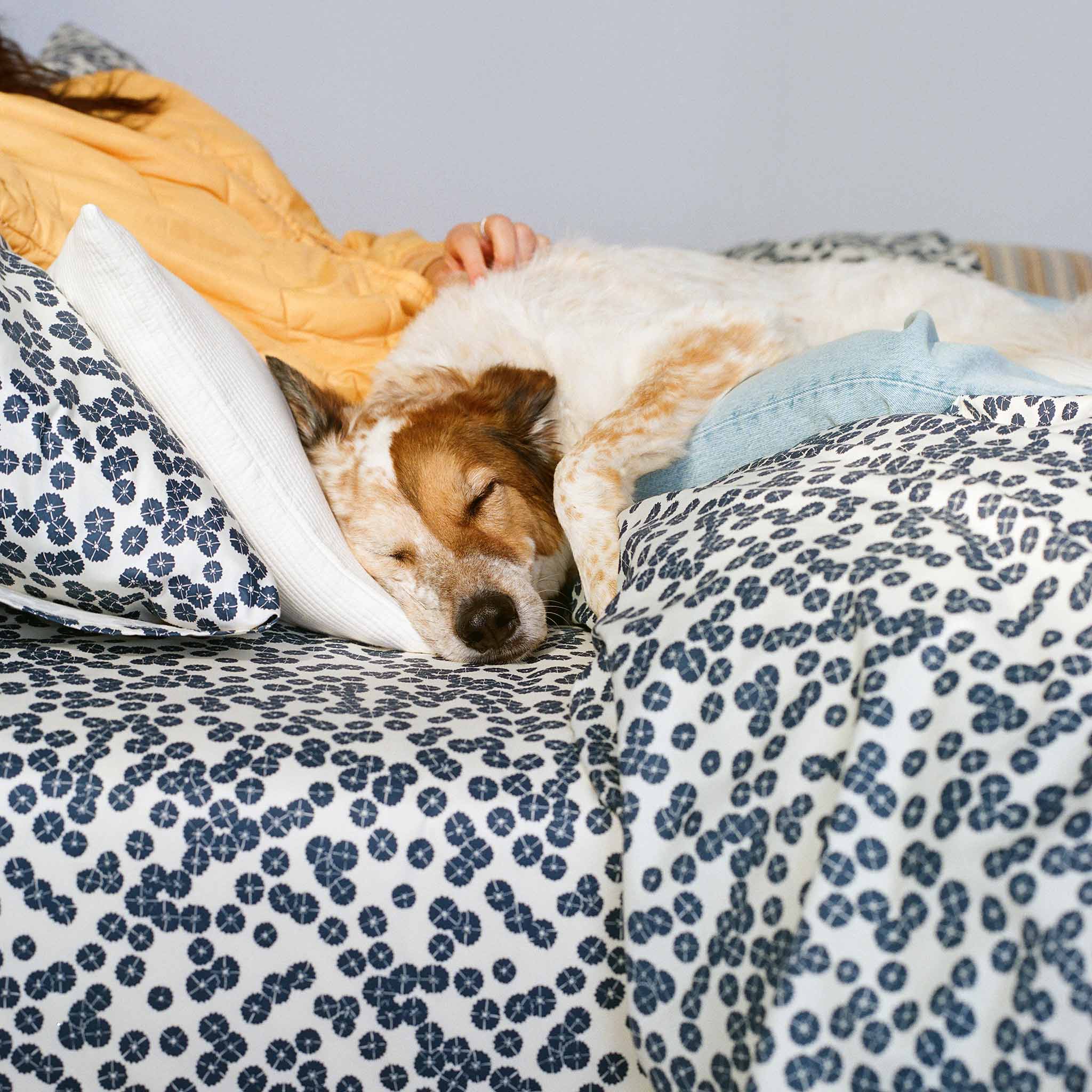 Luxe Sateen Duvet Cover